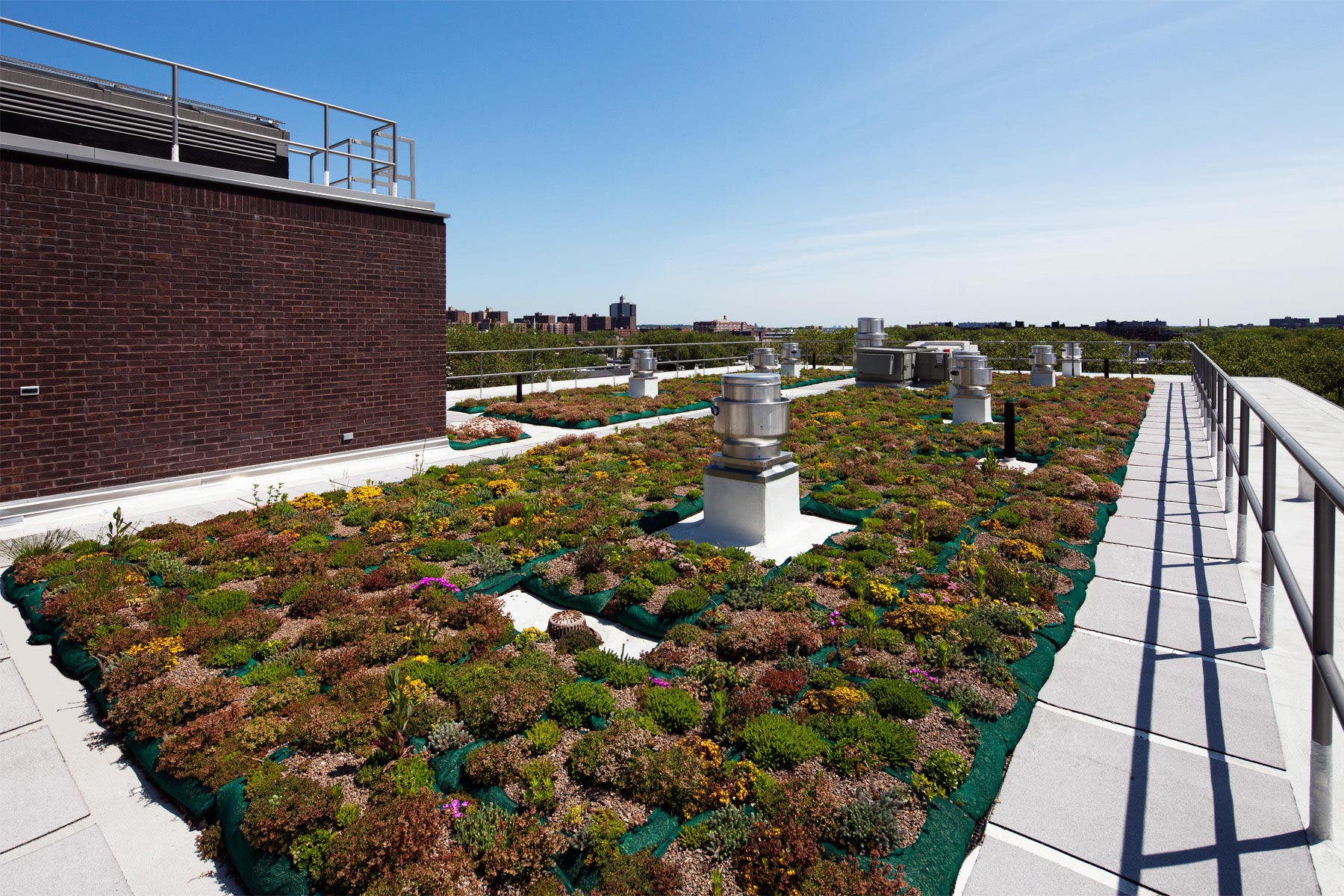 Roof garden on Breaking Ground's Hegeman residence in Brownsville, Brooklyn. The garden is designed not only to be beautiful but to improve the building's energy efficiency.